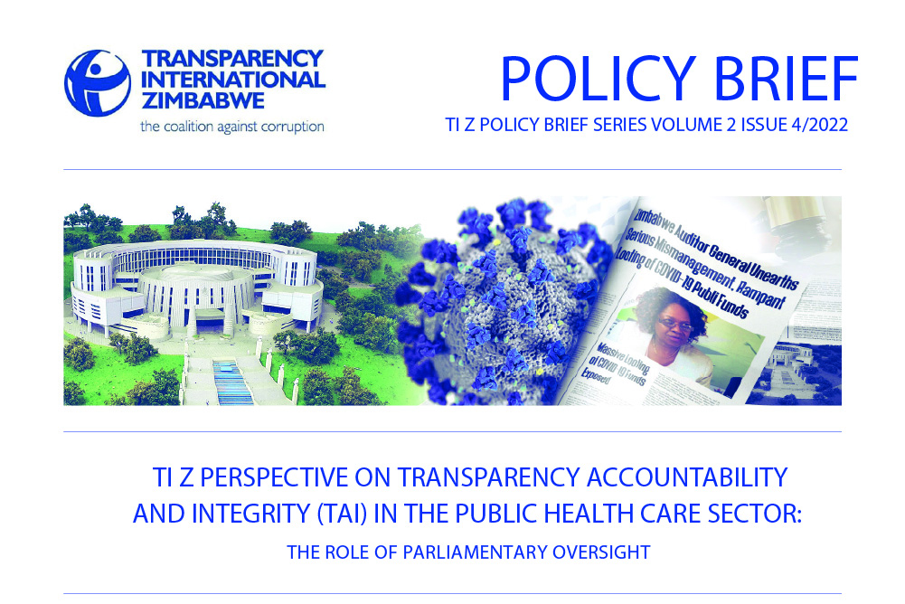 The Role of Parliamentary Oversight in Safeguarding Public Health Resources